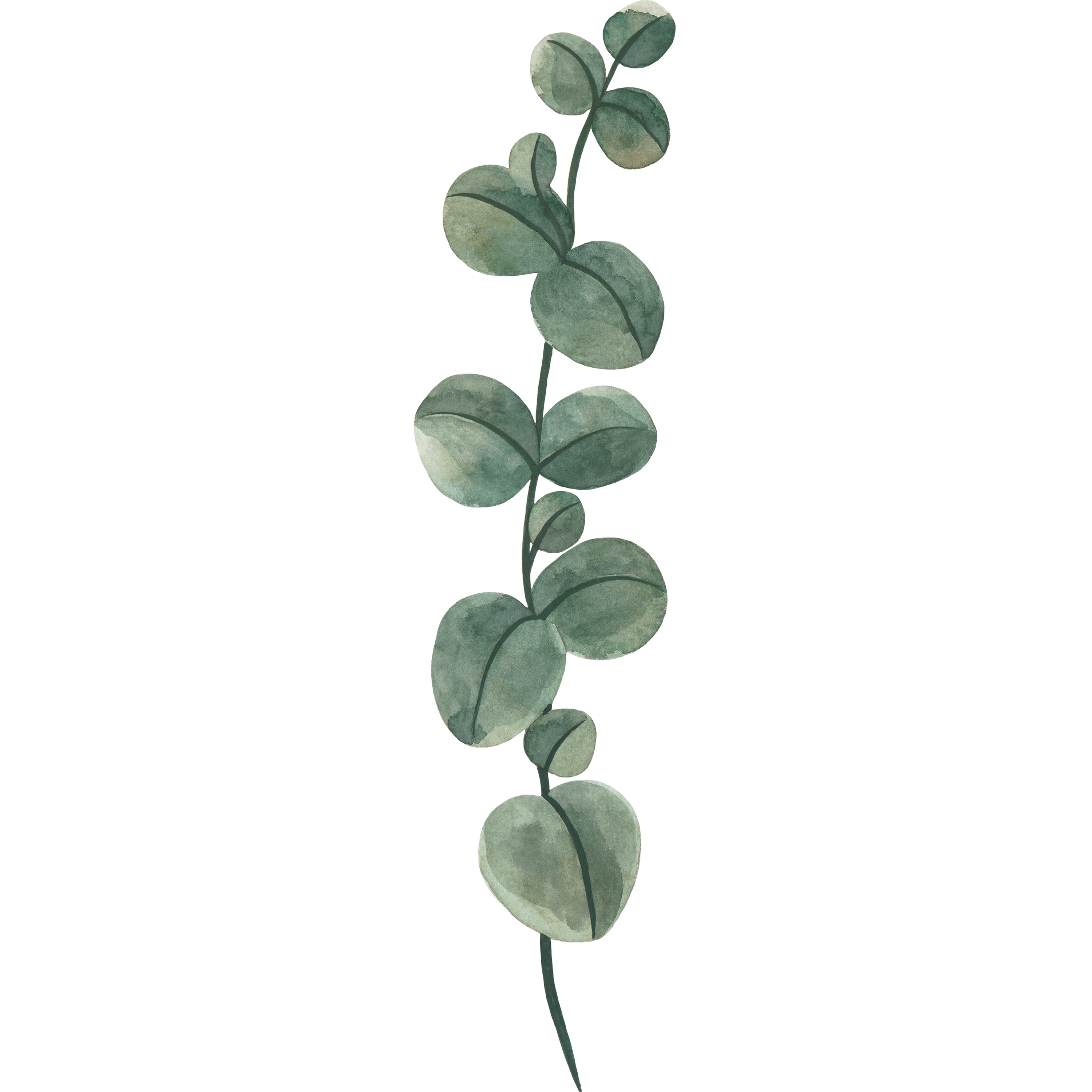 Decorative leaf